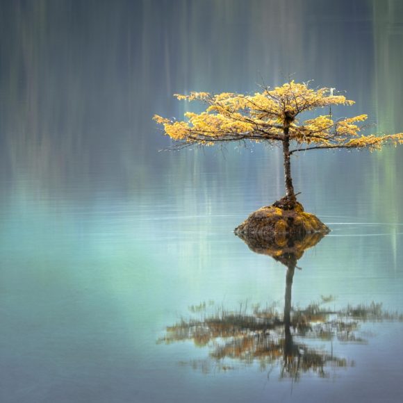 photo-1518241353330-0f7941c2d9b5 Article test FRED 2021
