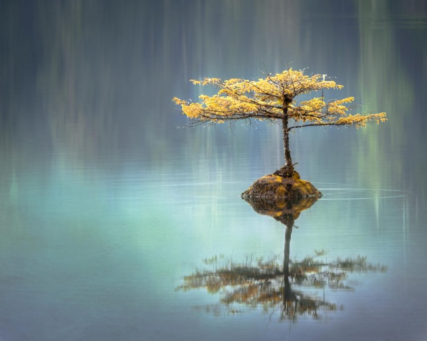 photo-1518241353330-0f7941c2d9b5 Article test FRED 2021